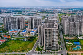Приток ПИИ в недвижимость составил более 66 млрд. долл. (Фото: baodautu.vn)