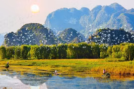 Уголок лагуны Ванлонг. (Фото: Kinhtemoitruong.vn)