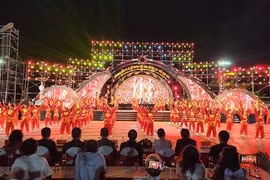 2 августа в Биньдинь открылся 8-й Международный фестиваль вьетнамских традиционных боевых искусств (Фото: ВИА)