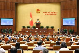 НС проголосует за утверждение резолюции о программе законодательства и разработки постановлений на 2024 год. (Фото: ВИА)