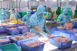 EVFTA дает значительные преимущества для вьетнамской сельскохозяйственной продукции при выходе в ЕС. (Фото: ВИA)