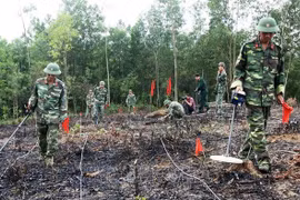 Необходимо приложить усилия для разминирования, расчистки земель и обеспечения социальной безопасности. (Фото: ВИА)