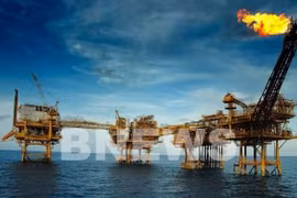 Буровая установка PVEP на месторождении Рангдонг. (Фото: PVN) 