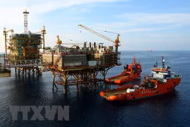 Добыча нефти на нефтяном месторождении Батьхо (Белый тигр). (Фото: ВИА) 