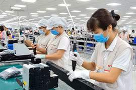 Производственная деятельность на заводе Trung Nam EMS в Парке высоких технологий Дананга (Фото: ВИА) 