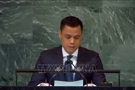 Посол Данг Хоанг Жанг, Постоянный представитель Вьетнама при Организации Объединенных Наций (Фото: ВИА) 