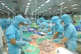 Экспорт рыбной продукции в январе-феврале значительно увеличился на 47,2% до 1,5 млрд. долл. США. (Фото: ВИА)