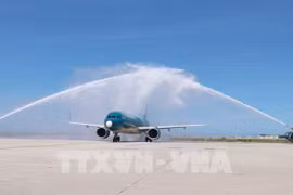 Рейс VN692 Vietnam Airlines встретили в международном аэропорту Камрань (Фото: ВИА)