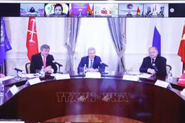 На онлайн-конференции. (Фото: Фыонг Хоа/ВИА)