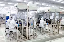Optrontec Vina, компания с инвестициями из Республики Корея, в промышленном парке Ba Thien 2, Виньфук. (Фото: ВИА)