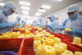 Сектор сельской, лесной и рыбной продукции установил новые экспортные рекорды в 2022 году. (Фото: ВИА) 
