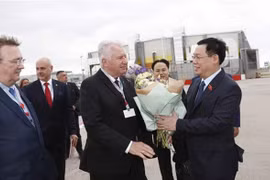 Вице-спикер венгерского парламента Иштван Якаб встречает председателя НС Выонг Динь Хюэ (справа) в аэропорту (Фото: ВИА)