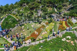 Посетители на горе Баден (Фото: ВИА) 