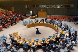 Открытые дебаты СБ ООН о защите гражданских лиц в вооруженных конфликтах 25 мая (Фото: ВИА)
