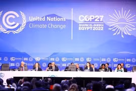 Обзор церемонии открытия COP27 (Фото: ВИА) 