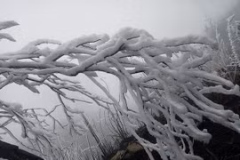 Фото для иллюстрации. (ВИА)