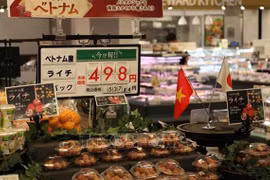 Вьетнамское личи поступили в продажу на рынке AEON (Фото: ВИА) 