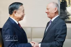 Генсек, Президент То Лам принимает помощника Президента РФ, Председателя Морской коллегии РФ Николая Патрушева (Фото: ВИА)