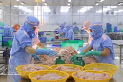 Рабочие перерабатывают морепродукты для экспорта (Фото: ВИА) 