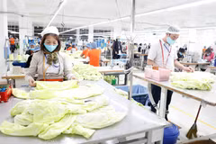 Швейное производство экспортной продукции для японского рынка на швейной компании «Хынгвьет» в провинции Хынгйен (Фото: ВИА)