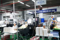 Производственная линия по выпуску упаковочной продукции в Акционерной компании по производству и импорту-экспорту упаковки «Тханг Лонг» отвечает требованиям многих отечественных и зарубежных заказчиков (Фото: ВИА)