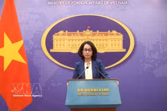 Официальный представитель МИД Фам Тху Ханг отвечает на вопросы журналистов на пресс-конференции (Фото: ВИА)