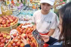 Узнать происхождение продукции посредством сканирования QR-кода (Фото: ВИА)