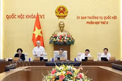 Постоянный заместитель председателя НС До Ван Тьен выступает на заседании (Фото: ВИА)