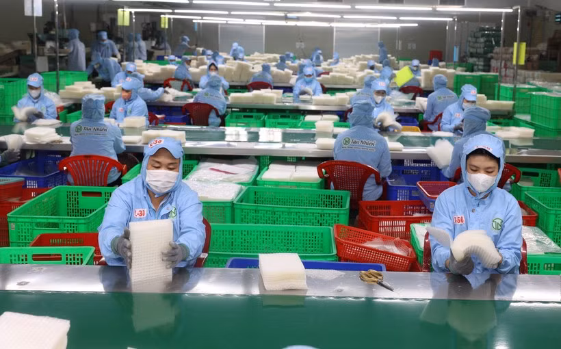 Рабочие сортировали рисовую бумагу на предприятии Tan Nhien Co. Ltd. в провинции Тайнинь. (Фото: ВИA)
