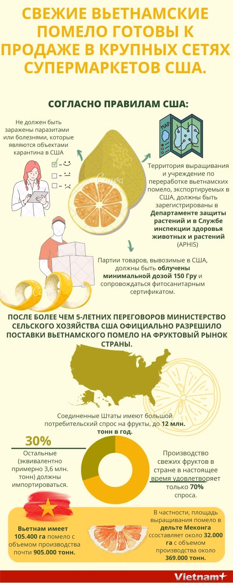 Свежие вьетнамские помело готовы к продаже в крупных сетях супермаркетов США. ảnh 1