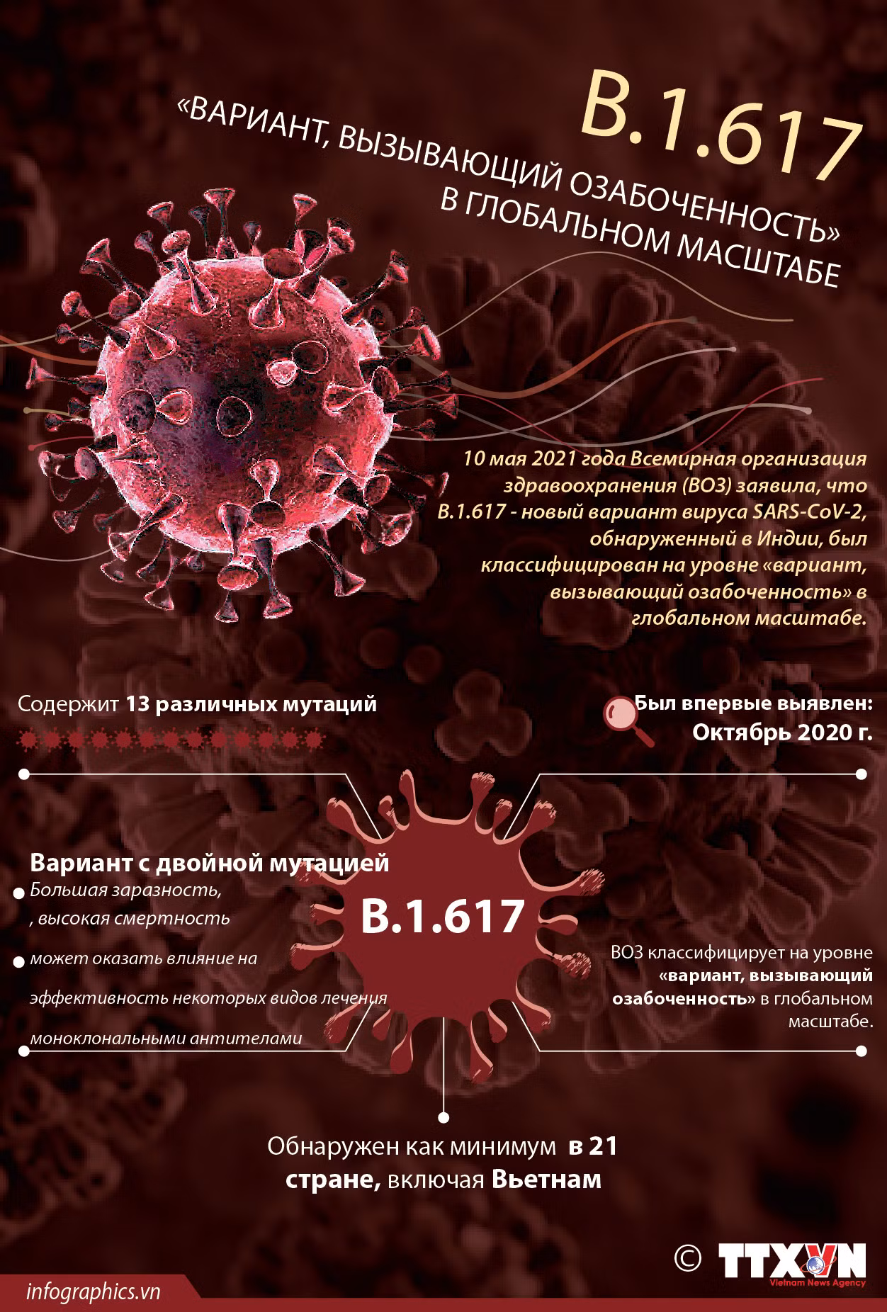 B.1.617 - «вариант, вызывающий озабоченность» в глобальном масштабе. ảnh 1