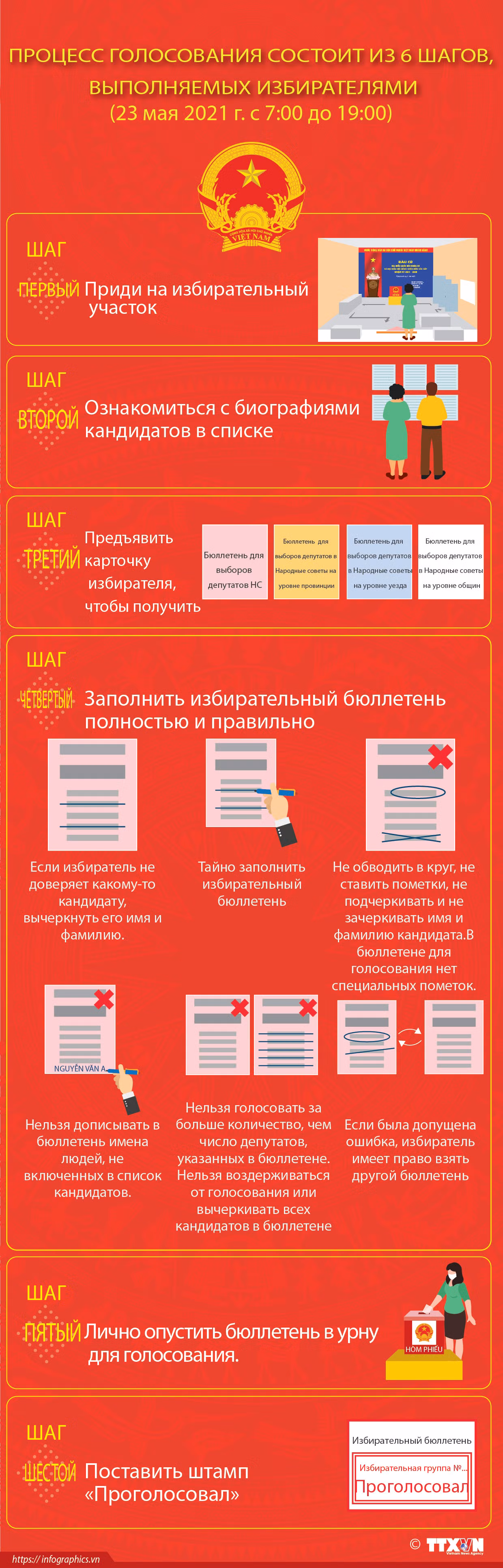 Процесс голосования состоит из 6 шагов, выполняемых избирателями ảnh 1