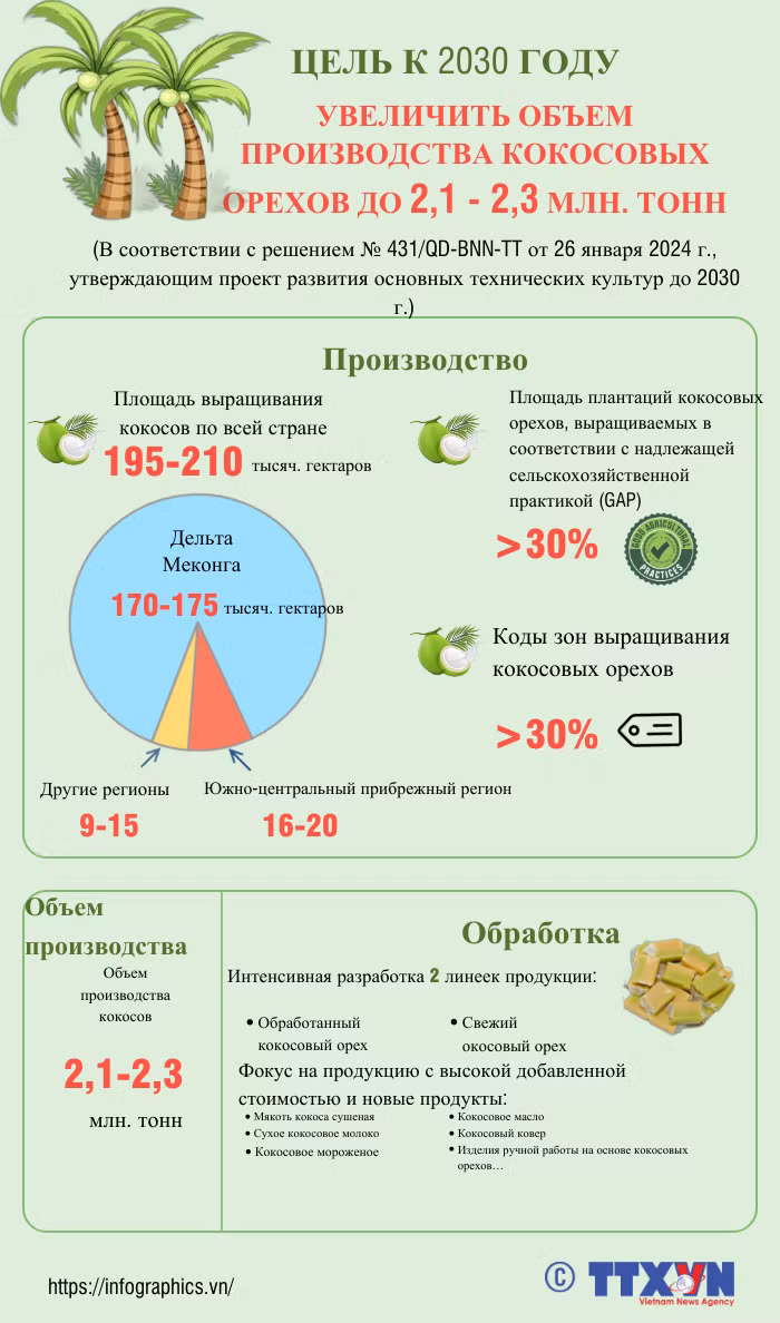 Цель к 2030 году увеличить объем производства кокосовых орехов до 2,1-2,3 млн.тонн ảnh 1