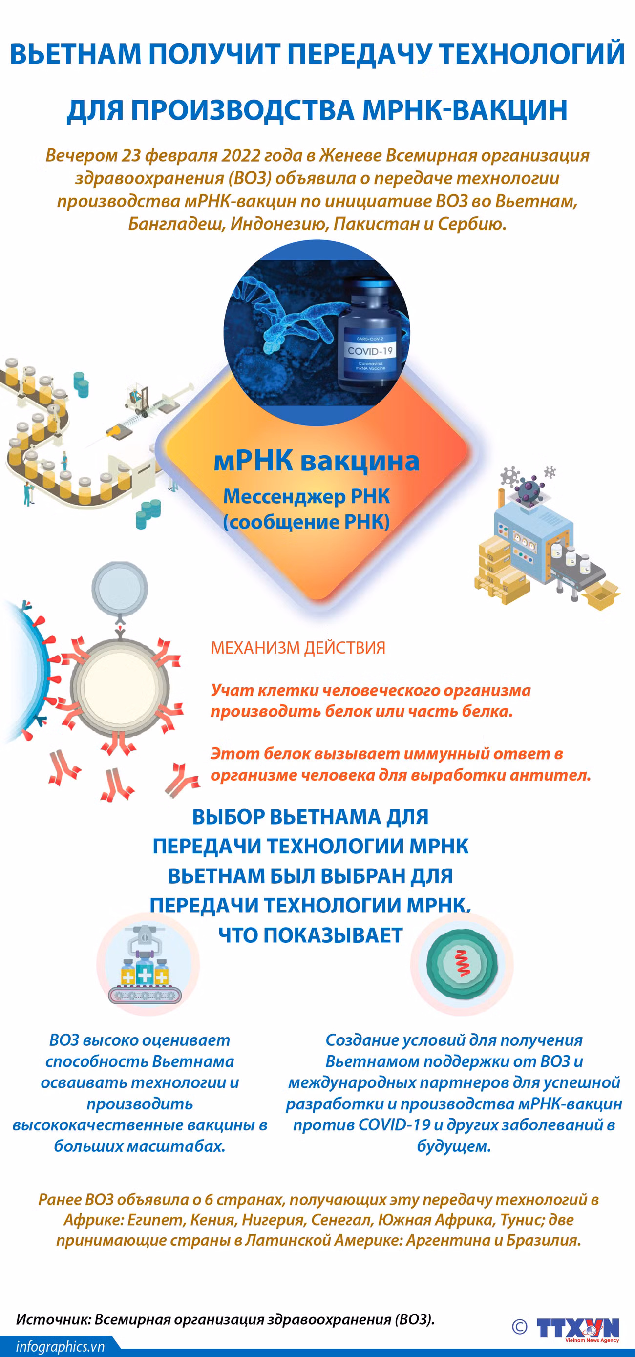 Вьетнам получит передачу технологий для производства мРНК-вакцин ảnh 1