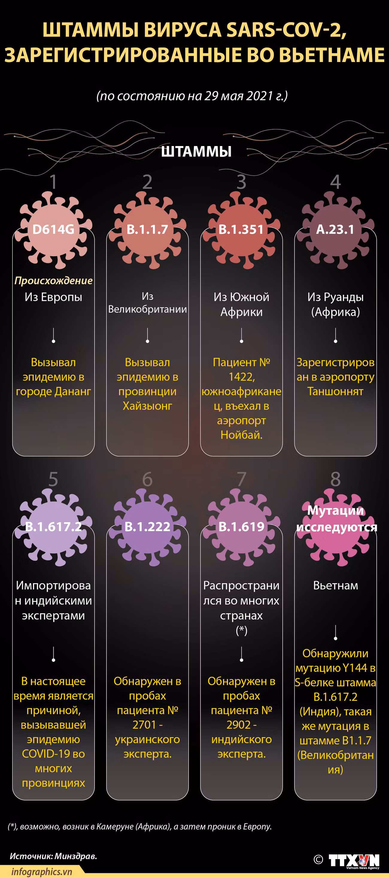 Штаммы вируса SARS-CoV-2, зарегистрированные во Вьетнаме ảnh 1