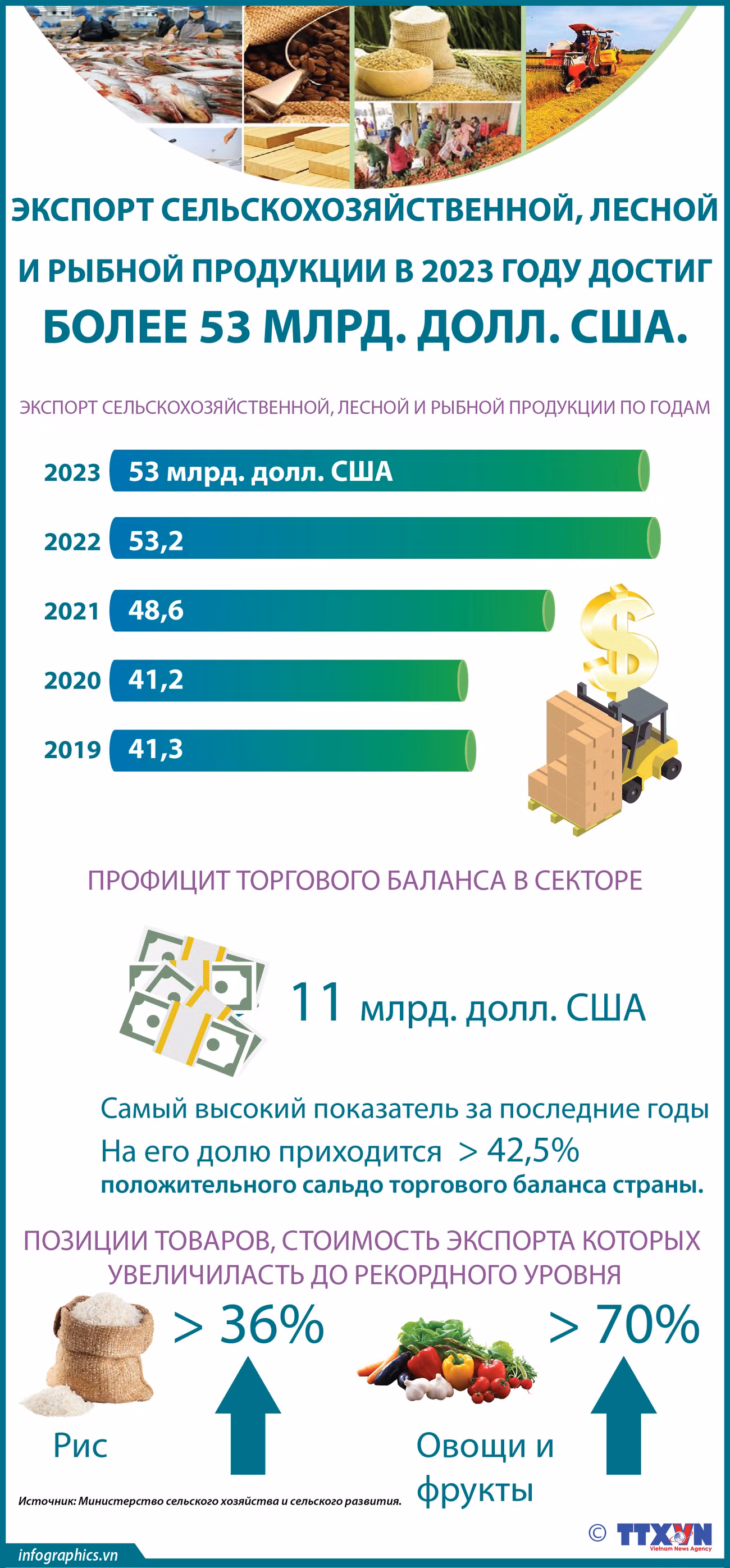 Экспорт сельскохозяйственной, лесной и рыбной продукции в 2023 году достиг более 53 млрд. долл. США ảnh 1 Экспорт сельскохозяйственной, лесной и рыбной продукции в 2023 году достиг более 53 млрд. долл. США ảnh 1