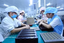 Работница собирает электронные компоненты на производственной линии компании Bao Sen (провинция Бакзянг). (Фото: ВИА).