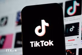 Логотип TikTok на экране телефона. Фото: Синьхуа/ВИА.