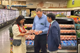 Вьетнамский личи поступил в крупные розничные сети, такие как Safeway и Costco. (Фото: Tap chi Cong thuong).