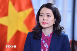 Заместитель министра иностранных дел Нгуен Минь Ханг. (Фото: ВИА)