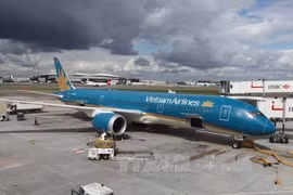 Самолёт Vietnam Airlines в аэропорту. (Фото: ВИА)
