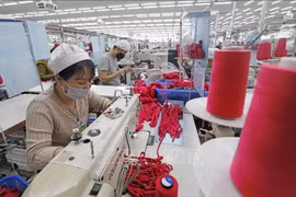 Компания SCAVI Хюэ (со 100% капиталом группы Financière B’Lao, Франция), специализирующаяся на производстве швейной продукции в промышленной зоне Фонгдьен (Хюэ). (Фото: ВИА).