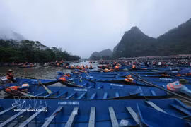 Десятки тысяч лодок обслуживают туристов. (Фото: ВИА)