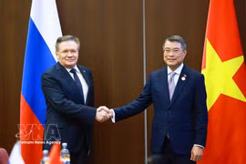 Премьер-министр Ле Минь Хынг принимает генерального директора Государственной корпорации по атомной энергии Российской Федерации «Росатом» Алексея Лихачёва. (Фото: ВИА).