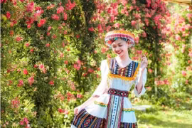Фестиваль роз 2025 года. Фото: Sun Group