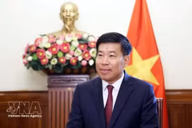 Заместитель министра иностранных дел Нгуен Мань Кыонг. (Фото: ВИА)