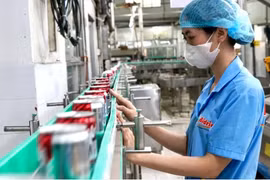 Производство на предприятии компании Tan Quang Minh Trading Co., Ltd. (Bidrico), г. Хошимин. (Фото: sggp.org.vn)