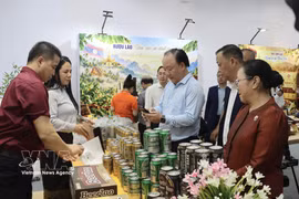 Делегаты осматривают выставочные стенды в рамках Недели. Фото: ВИА.