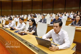 Делегация депутатов Национального собрания города Хошимина на заседании. (Фото: ВИА)
