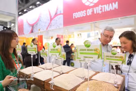 Посетители знакомятся с продукцией вьетнамских брендов на выставке. Фото: ВИА.